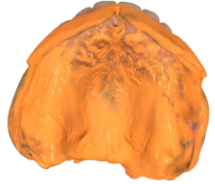 Screenshot 2025-07-29 083128.png