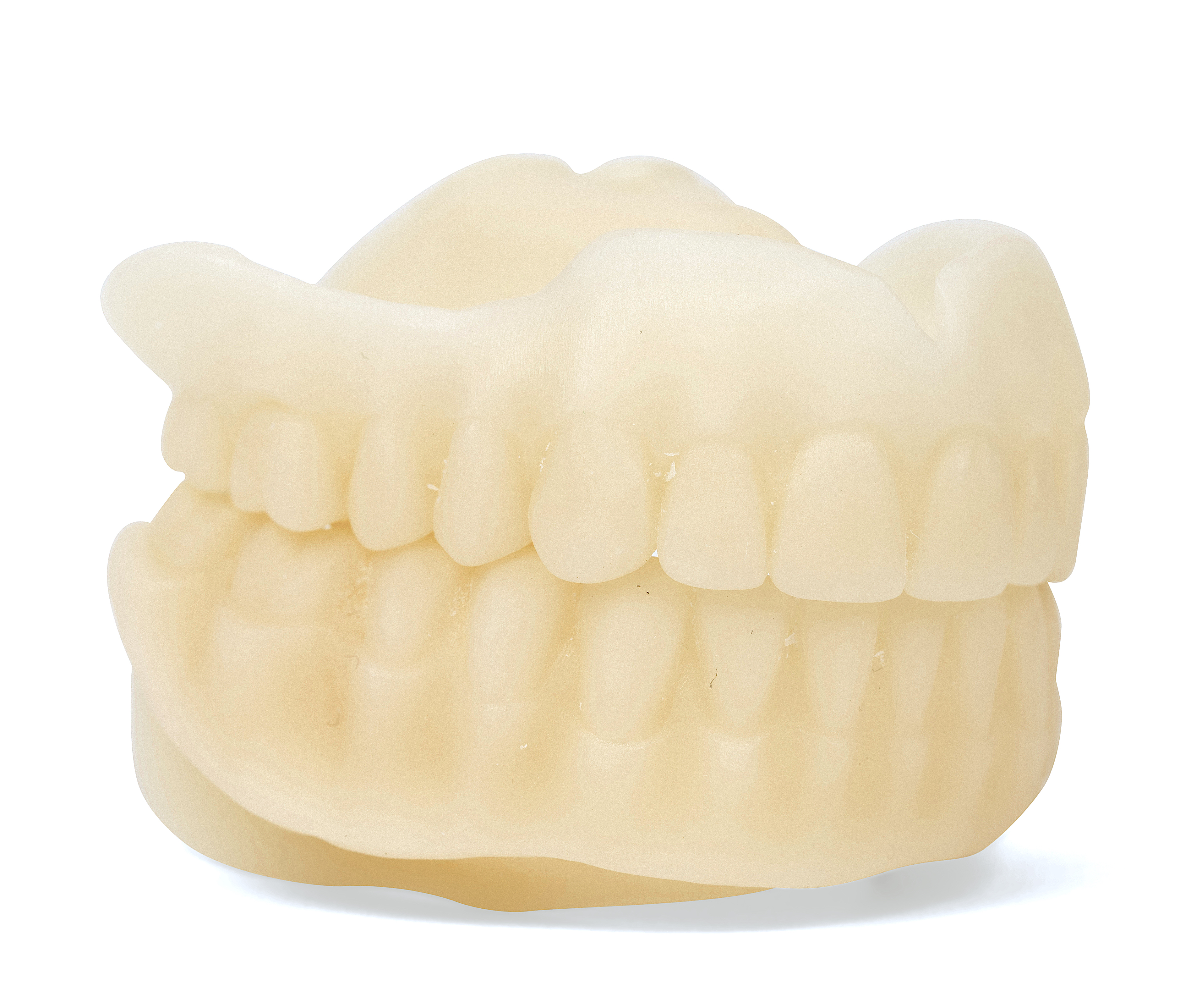 Dandy_r1_SEA_1426 (1).jpg