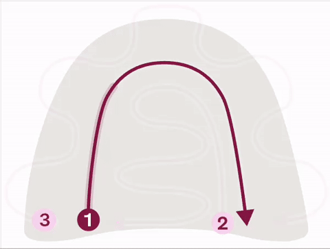 360 Denture Intaglio Scan Path (1).gif