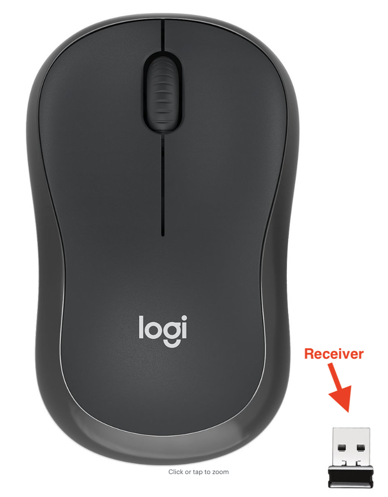 Screen Shot 2024-01-10 at 1.18.24 PM.png